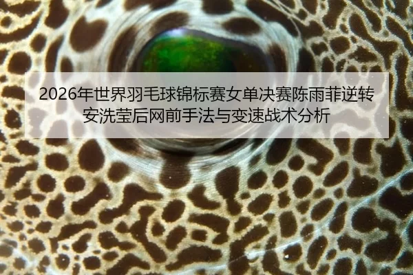 nian-shi-jie-yu-mao-qiu-jin-biao-sai-nv-dan-jue-sai-chen-yu-fei-ni-zhuan-an-xi-ying-hou-wang-qian-shou-fa-yu-bian-su-2-320.jpg