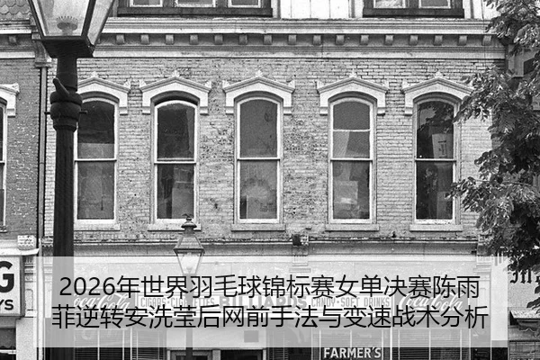 2026年世界羽毛球锦标赛女单决赛陈雨菲逆转安洗莹后网前手法与变速战术分析