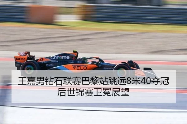 wang-jia-nan-zuan-shi-lian-sai-ba-li-zhan-tiao-yuan-mi-duo-guan-hou-shi-jin-sai-wei-mian-zhan-wang-2-531.jpg